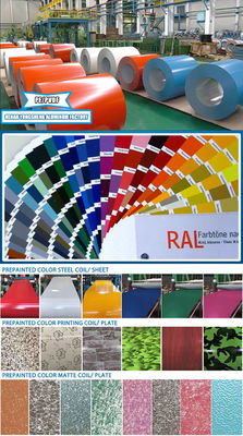 Painted PVDF Color Coated PE Aluminium Coil 1060 3003 3004 5052