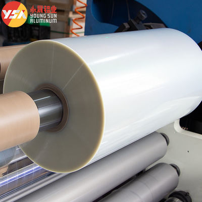 Foil Kemasan Laminasi Polyester Plastik PET+PE Transparan